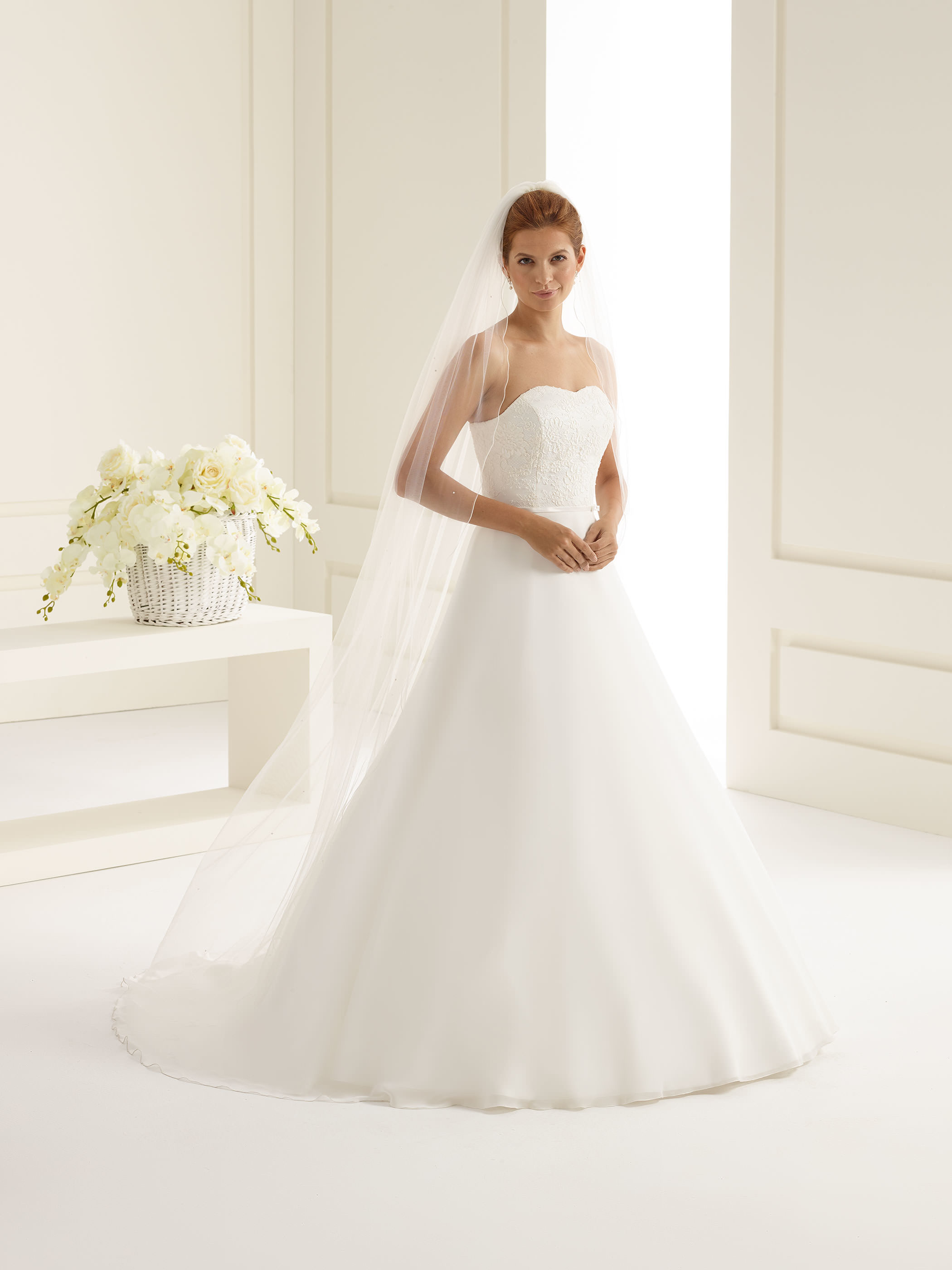 Dieses-Bild-zeigt-Schleier-S222-von-Bianco-Evento_1 Langer Schleier mit Kristallsteinen (elfenbeinfarben) S222